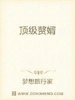 顶级赘婿最新章节列表,顶级赘婿全文阅读