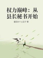 权力巅峰：从县长秘书开始最新章节列表,权力巅峰：从县长秘书开始全文阅读